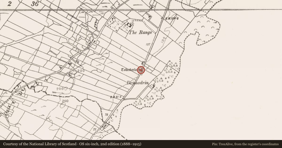 Ordnance Survey six-inch map, 2nd edition (1888–1915) covering the location of Rock art, An Cheapaigh Dhuibh Thiar, County Mayo, with a pin at the register's coordinates