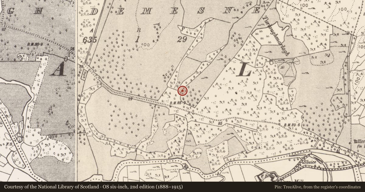 Ordnance Survey six-inch map, 2nd edition (1888–1915) covering the location of Enclosure, Creagh Demesne, County Mayo, with a pin at the register's coordinates