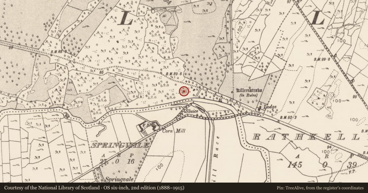 Ordnance Survey six-inch map, 2nd edition (1888–1915) covering the location of Enclosure, Creagh Demesne, County Mayo, with a pin at the register's coordinates