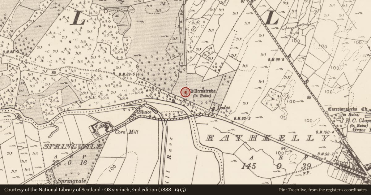 Ordnance Survey six-inch map, 2nd edition (1888–1915) covering the location of Religious house - unclassified, Creagh Demesne, County Mayo, with a pin at the register's coordinates