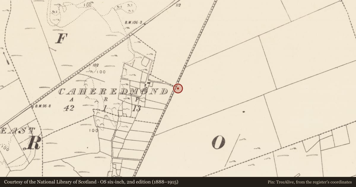 Ordnance Survey six-inch map, 2nd edition (1888–1915) covering the location of Enclosure, County Mayo, with a pin at the register's coordinates