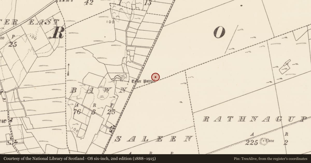 Ordnance Survey six-inch map, 2nd edition (1888–1915) covering the location of Enclosure, Cappacurry, Saleen, County Mayo, with a pin at the register's coordinates