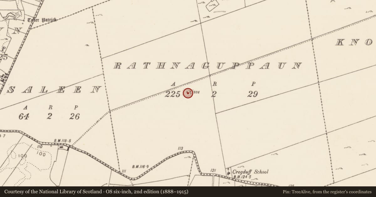 Ordnance Survey six-inch map, 2nd edition (1888–1915) covering the location of Ringfort - rath, Rathnaguppaun, County Mayo, with a pin at the register's coordinates