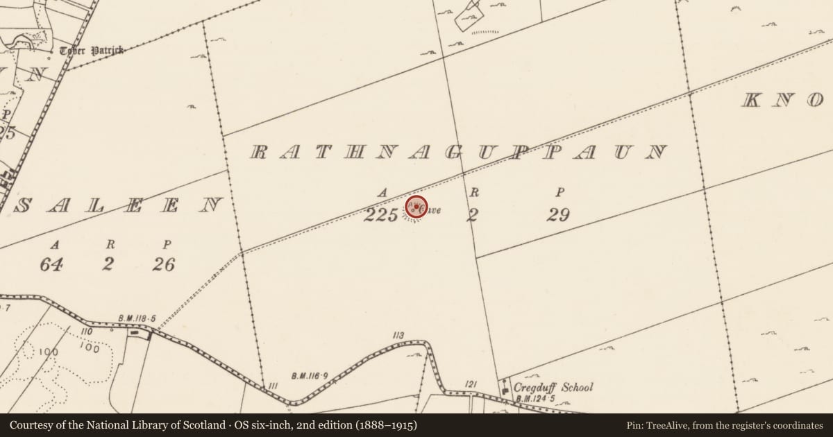 Ordnance Survey six-inch map, 2nd edition (1888–1915) covering the location of Souterrain, Rathnaguppaun, County Mayo, with a pin at the register's coordinates