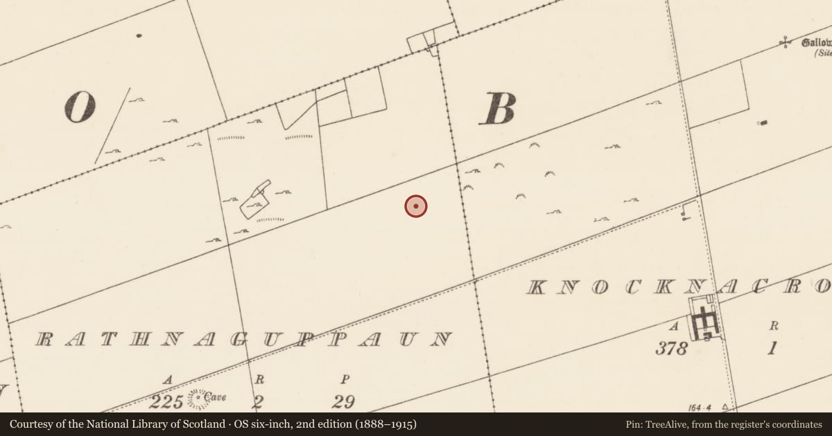 Ordnance Survey six-inch map, 2nd edition (1888–1915) covering the location of Enclosure, Rathnaguppaun, County Mayo, with a pin at the register's coordinates