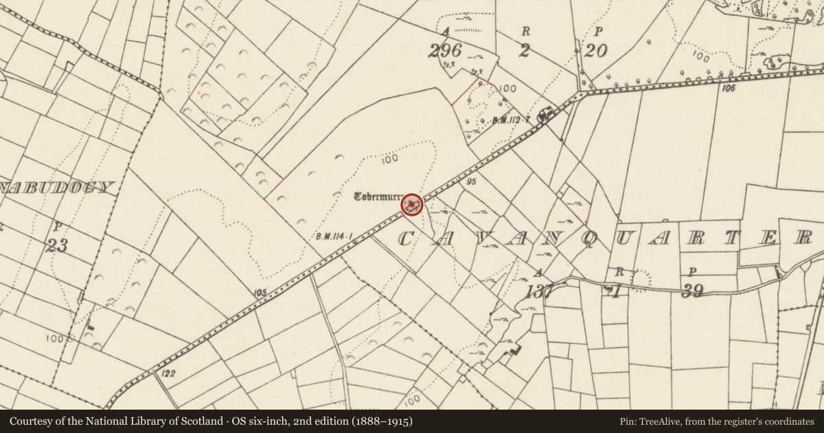 Ordnance Survey six-inch map, 2nd edition (1888–1915) covering the location of Ritual site - holy well, Ballinrobe Demesne, Cavanquarter, County Mayo, with a pin at the register's coordinates