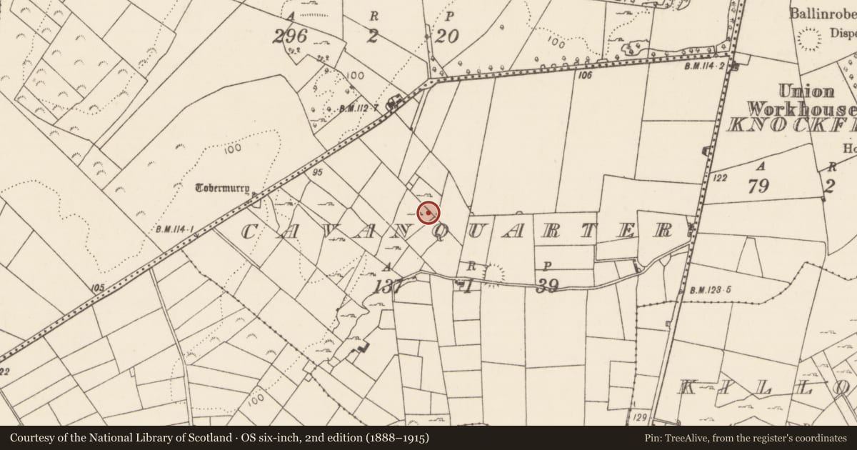 Ordnance Survey six-inch map, 2nd edition (1888–1915) covering the location of Ringfort - rath, Cavanquarter, County Mayo, with a pin at the register's coordinates