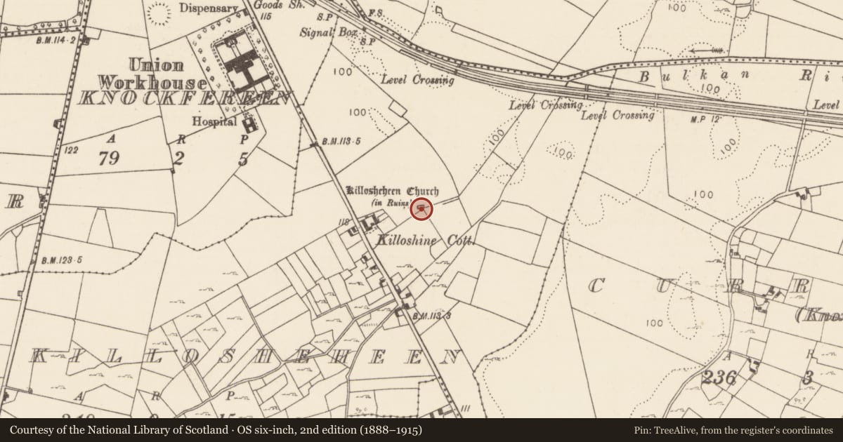 Ordnance Survey six-inch map, 2nd edition (1888–1915) covering the location of Church, Killosheheen, County Mayo, with a pin at the register's coordinates