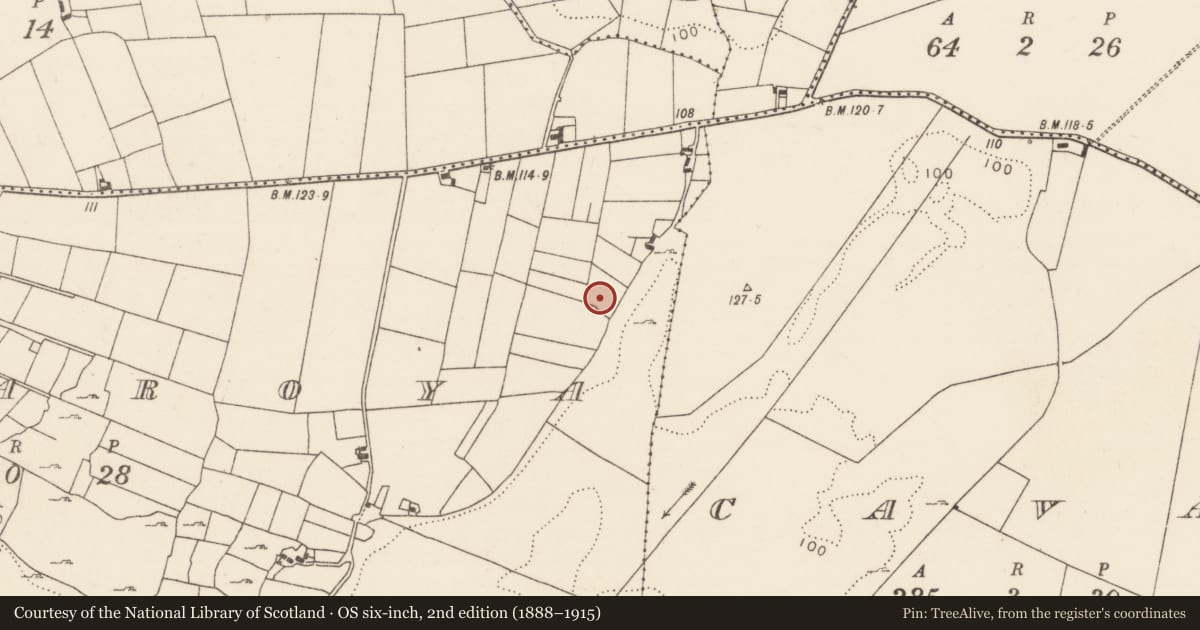 Ordnance Survey six-inch map, 2nd edition (1888–1915) covering the location of Ringfort - rath, Cornaroya, County Mayo, with a pin at the register's coordinates