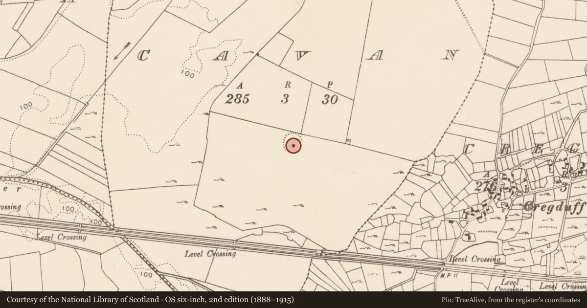 Ordnance Survey six-inch map, 2nd edition (1888–1915) covering the location of Enclosure, Cavan, County Mayo, with a pin at the register's coordinates
