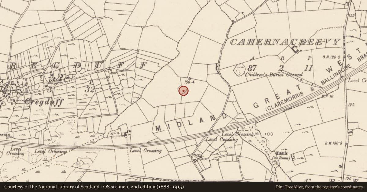 Ordnance Survey six-inch map, 2nd edition (1888–1915) covering the location of Ringfort - rath, Cahernamallaght, County Mayo, with a pin at the register's coordinates