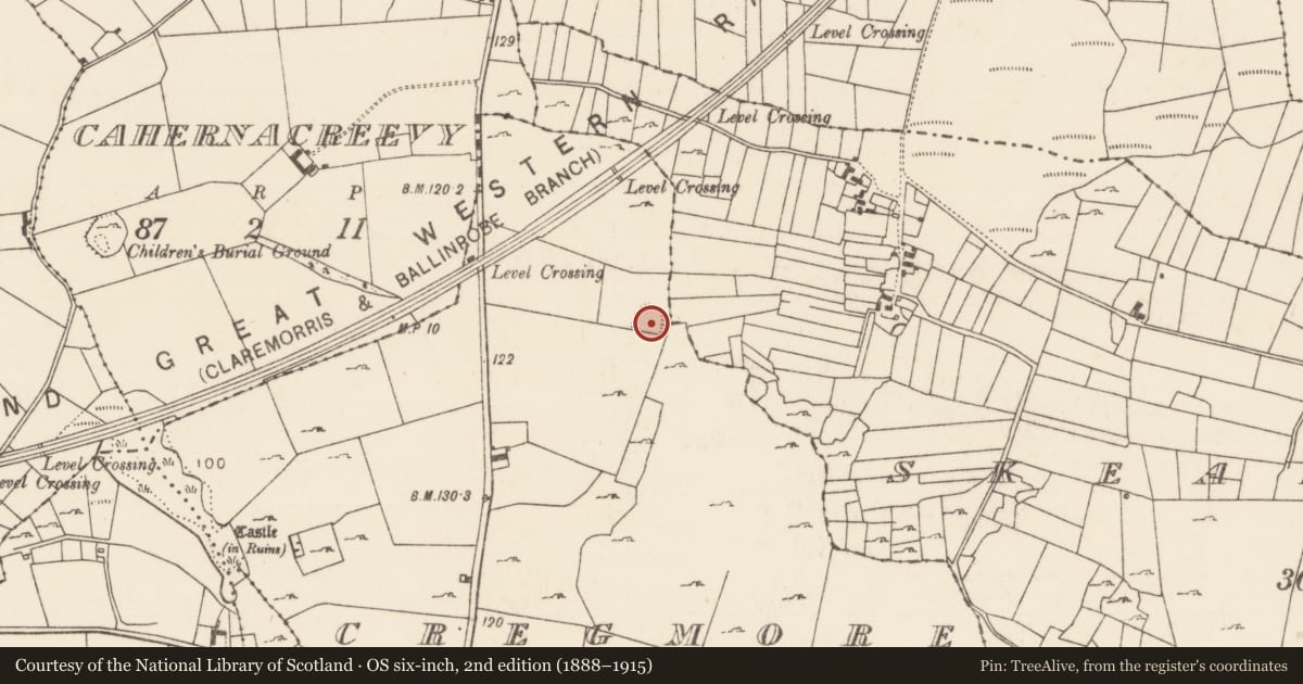 Ordnance Survey six-inch map, 2nd edition (1888–1915) covering the location of Ringfort - rath, Cregmore (Browne), County Mayo, with a pin at the register's coordinates