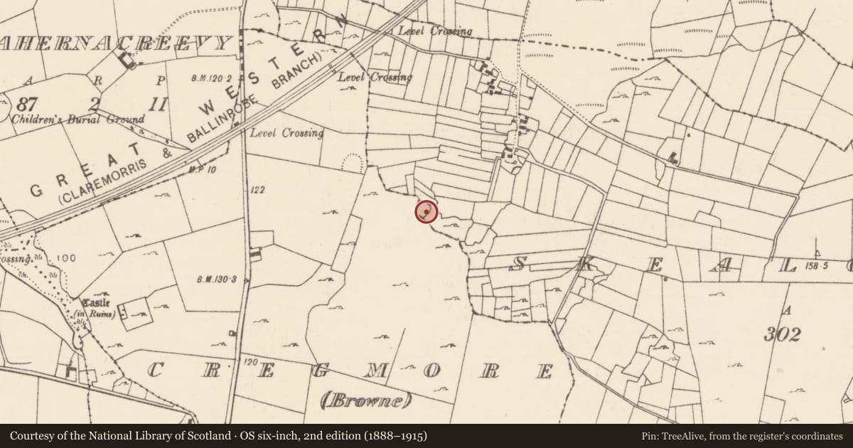 Ordnance Survey six-inch map, 2nd edition (1888–1915) covering the location of Enclosure, Cregmore (Browne), Skealoghan, County Mayo, with a pin at the register's coordinates