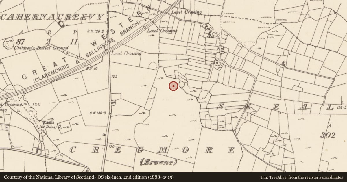 Ordnance Survey six-inch map, 2nd edition (1888–1915) covering the location of Earthwork, Skealoghan, Cregmore (Browne), County Mayo, with a pin at the register's coordinates