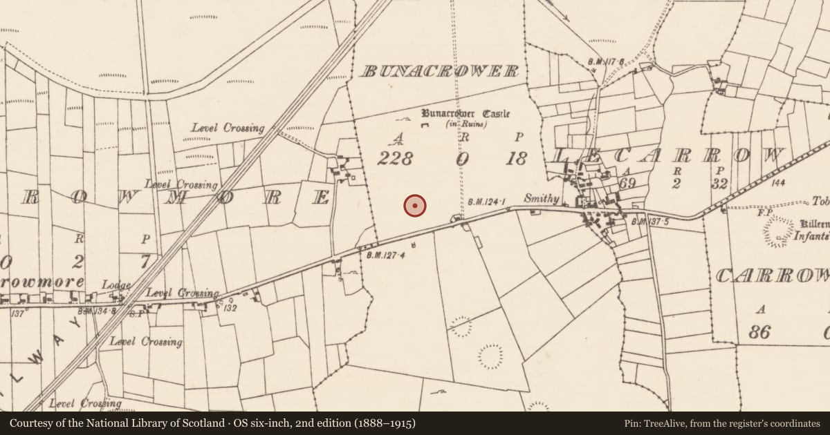 Ordnance Survey six-inch map, 2nd edition (1888–1915) covering the location of Standing stone, Bunacrower, County Mayo, with a pin at the register's coordinates