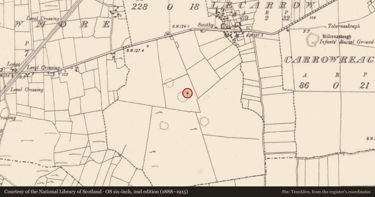 Ordnance Survey six-inch map, 2nd edition (1888–1915) covering the location of Ringfort - rath, Bunacrower, County Mayo, with a pin at the register's coordinates