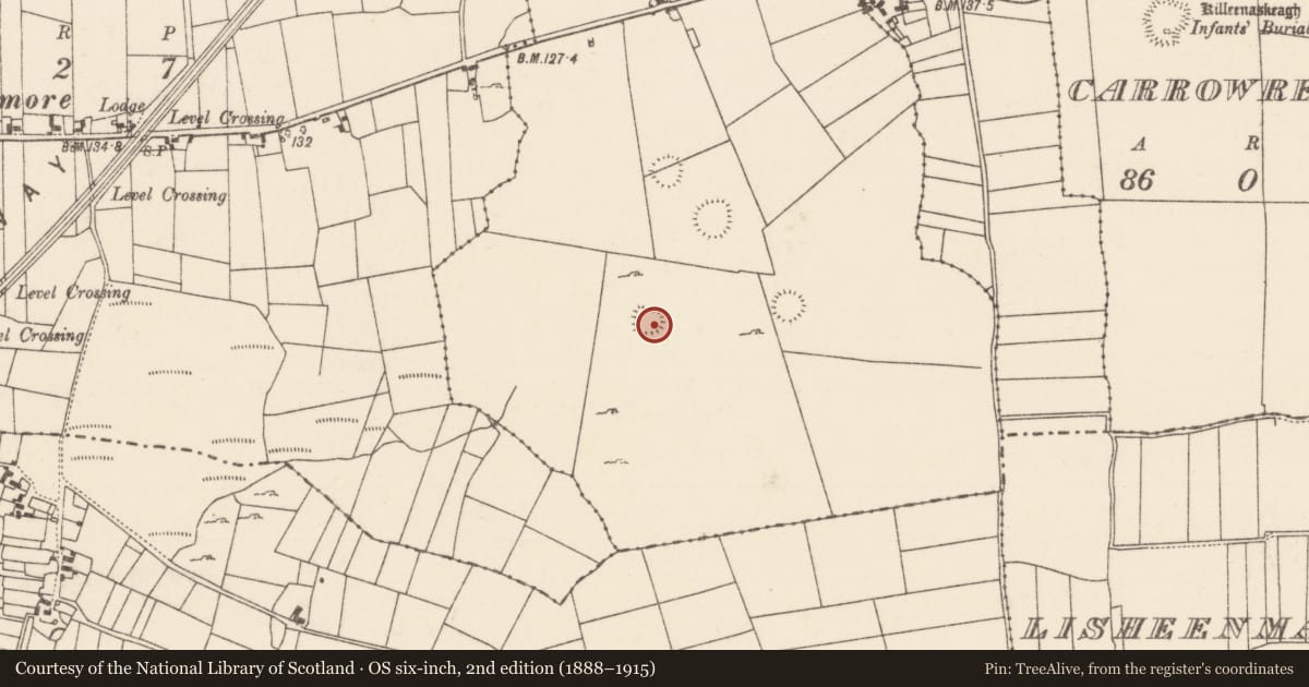 Ordnance Survey six-inch map, 2nd edition (1888–1915) covering the location of Ringfort - rath, Bunacrower, County Mayo, with a pin at the register's coordinates