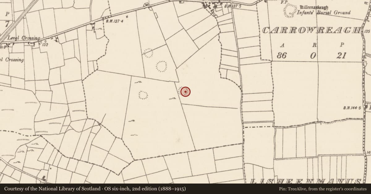 Ordnance Survey six-inch map, 2nd edition (1888–1915) covering the location of Ringfort - rath, Bunacrower, County Mayo, with a pin at the register's coordinates