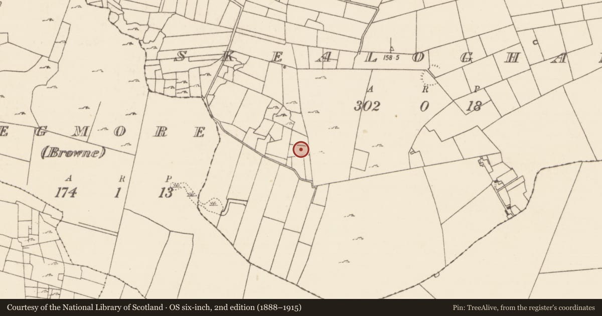 Ordnance Survey six-inch map, 2nd edition (1888–1915) covering the location of Enclosure, Skealoghan, County Mayo, with a pin at the register's coordinates