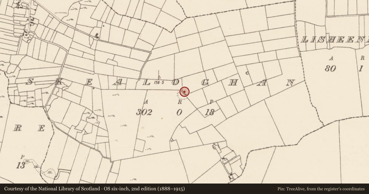 Ordnance Survey six-inch map, 2nd edition (1888–1915) covering the location of Enclosure, Skealoghan, County Mayo, with a pin at the register's coordinates