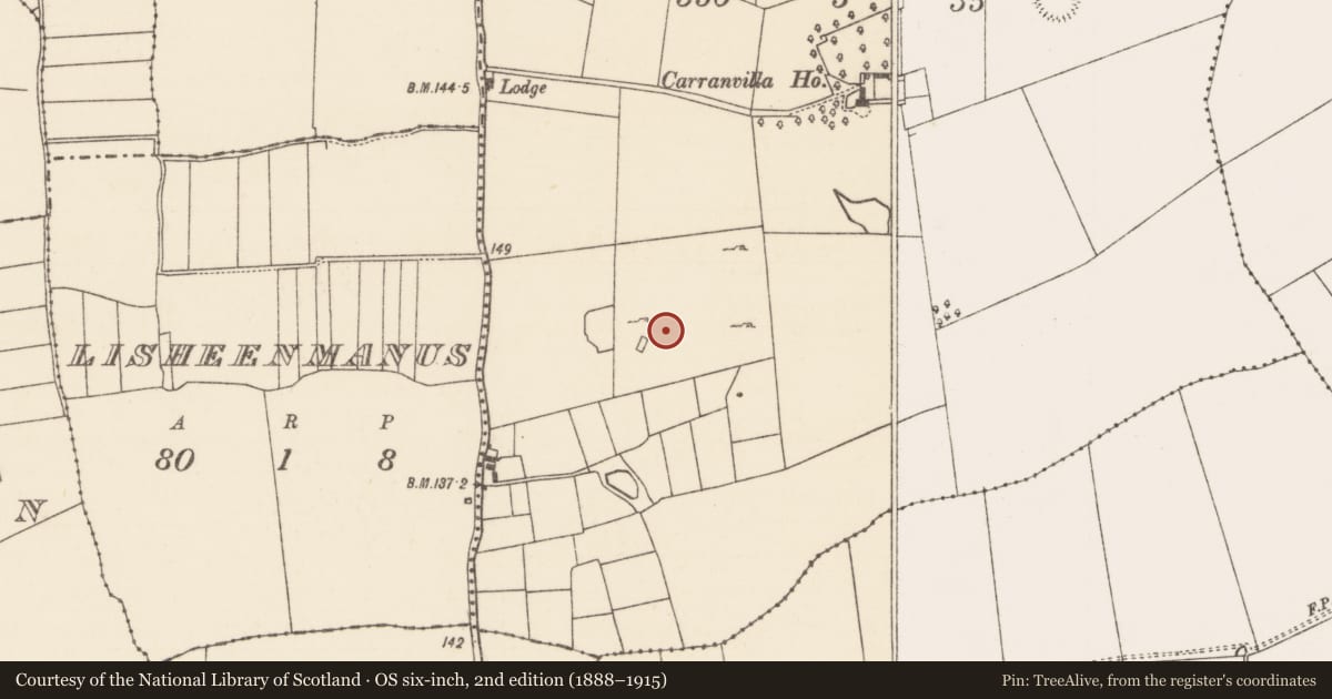 Ordnance Survey six-inch map, 2nd edition (1888–1915) covering the location of Ringfort - rath, Caheravoostia, County Mayo, with a pin at the register's coordinates