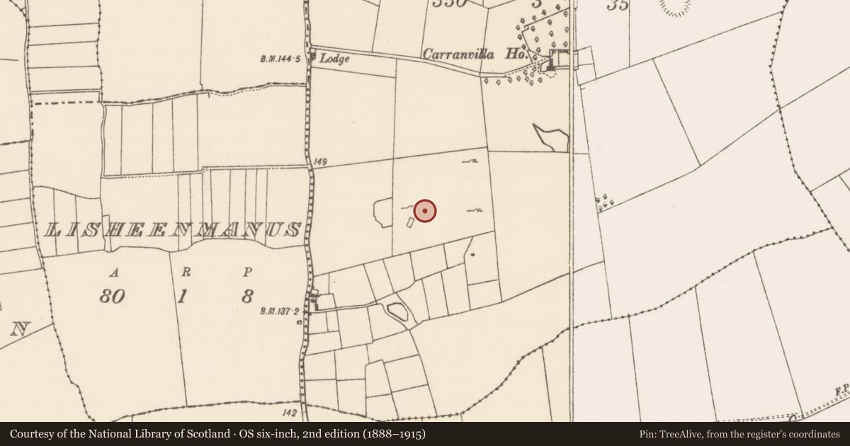 Ordnance Survey six-inch map, 2nd edition (1888–1915) covering the location of Souterrain, Caheravoostia, County Mayo, with a pin at the register's coordinates