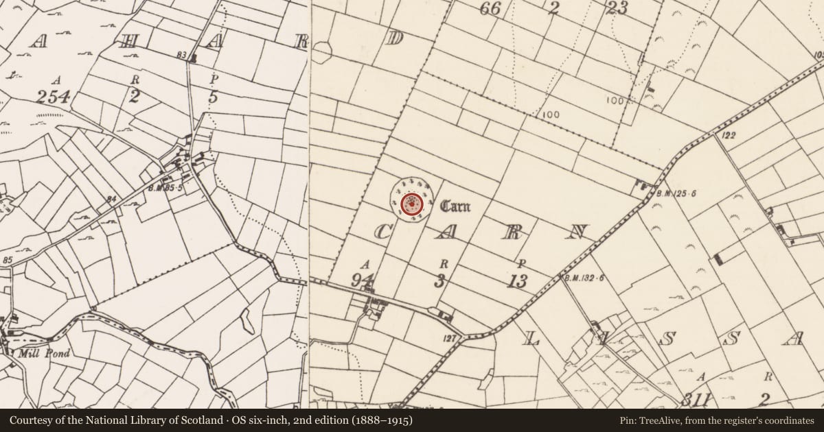 Ordnance Survey six-inch map, 2nd edition (1888–1915) covering the location of Cairn - unclassified, Carn (Kilmaine By., Ballinrobe Par.), County Mayo, with a pin at the register's coordinates