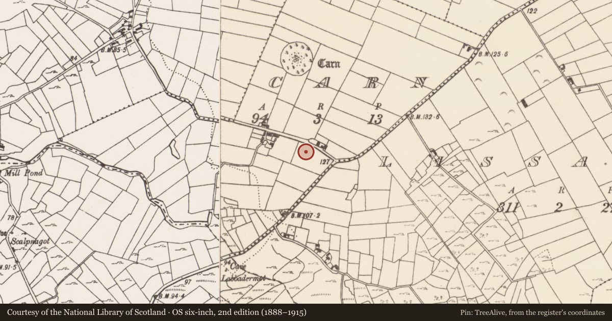 Ordnance Survey six-inch map, 2nd edition (1888–1915) covering the location of Souterrain, Carn (Kilmaine By., Ballinrobe Par.), County Mayo, with a pin at the register's coordinates