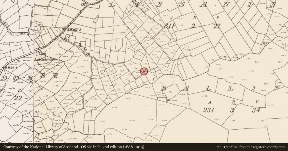 Ordnance Survey six-inch map, 2nd edition (1888–1915) covering the location of Enclosure, Lissanisky, County Mayo, with a pin at the register's coordinates