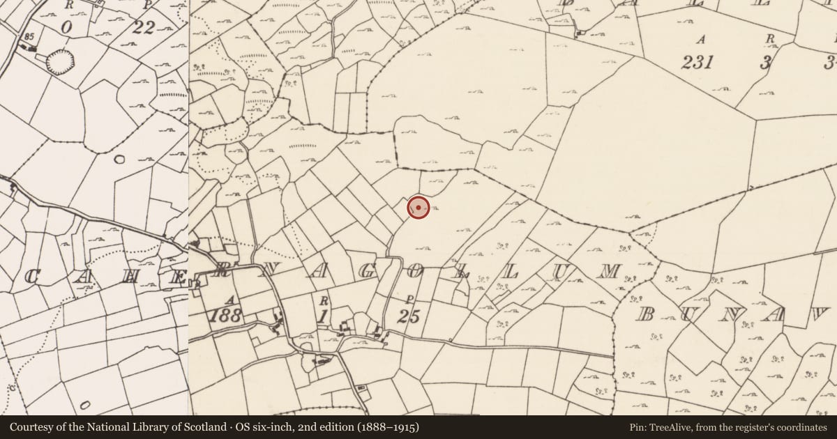 Ordnance Survey six-inch map, 2nd edition (1888–1915) covering the location of Enclosure, Cahernagollum, County Mayo, with a pin at the register's coordinates