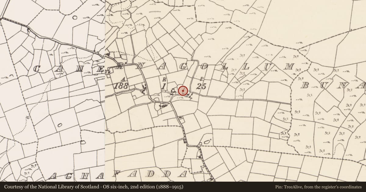 Ordnance Survey six-inch map, 2nd edition (1888–1915) covering the location of Enclosure, Cahernagollum, County Mayo, with a pin at the register's coordinates