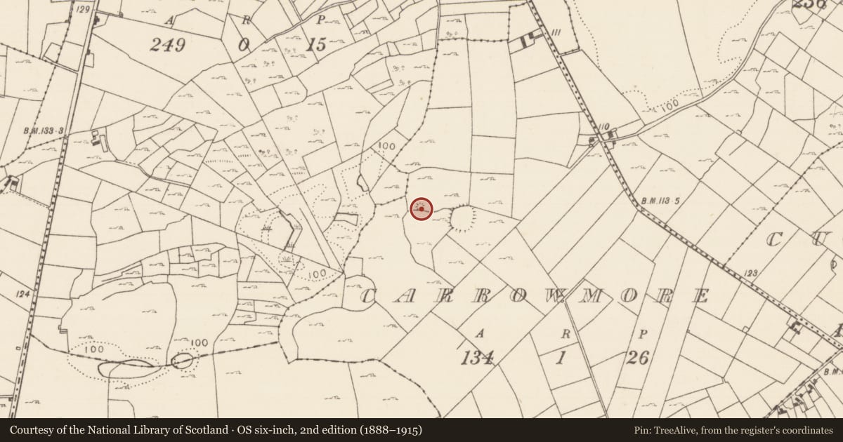 Ordnance Survey six-inch map, 2nd edition (1888–1915) covering the location of House - indeterminate date, Carrowmore (Kilmaine By., Ballinrobe Par.), County Mayo, with a pin at the register's coordinates