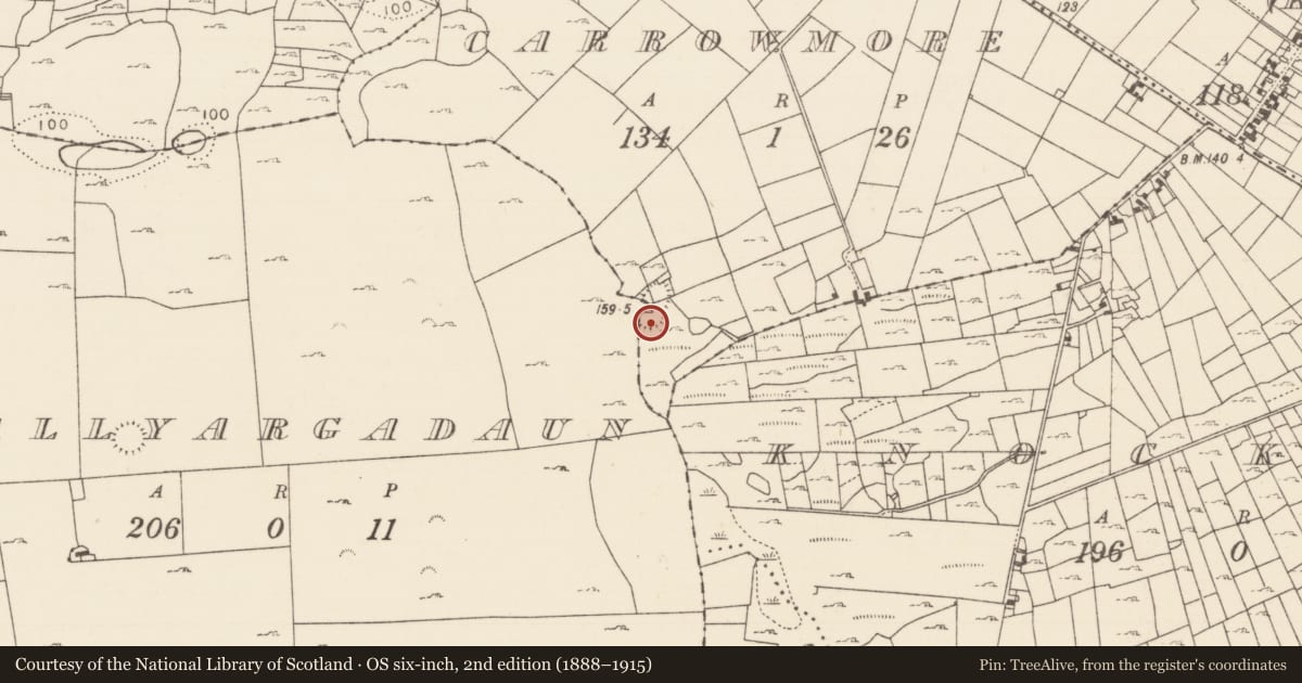 Ordnance Survey six-inch map, 2nd edition (1888–1915) covering the location of Enclosure, Carrowmore (Kilmaine By., Ballinrobe Par.), County Mayo, with a pin at the register's coordinates