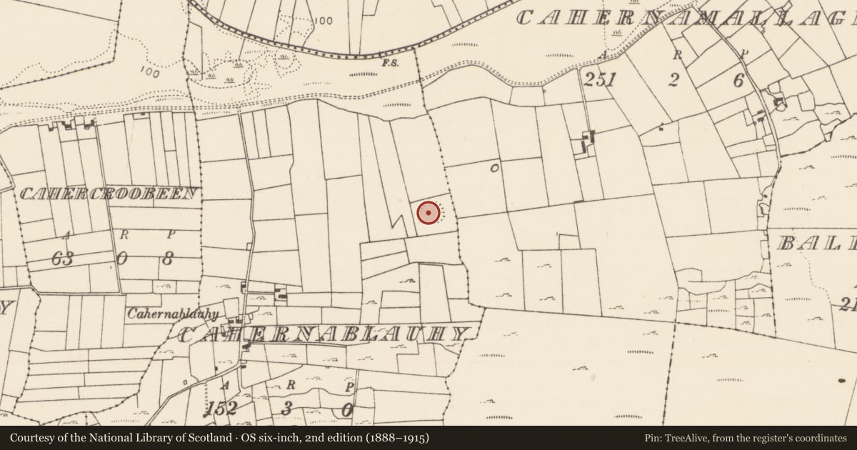 Ordnance Survey six-inch map, 2nd edition (1888–1915) covering the location of Enclosure, Cahernablauhy, County Mayo, with a pin at the register's coordinates