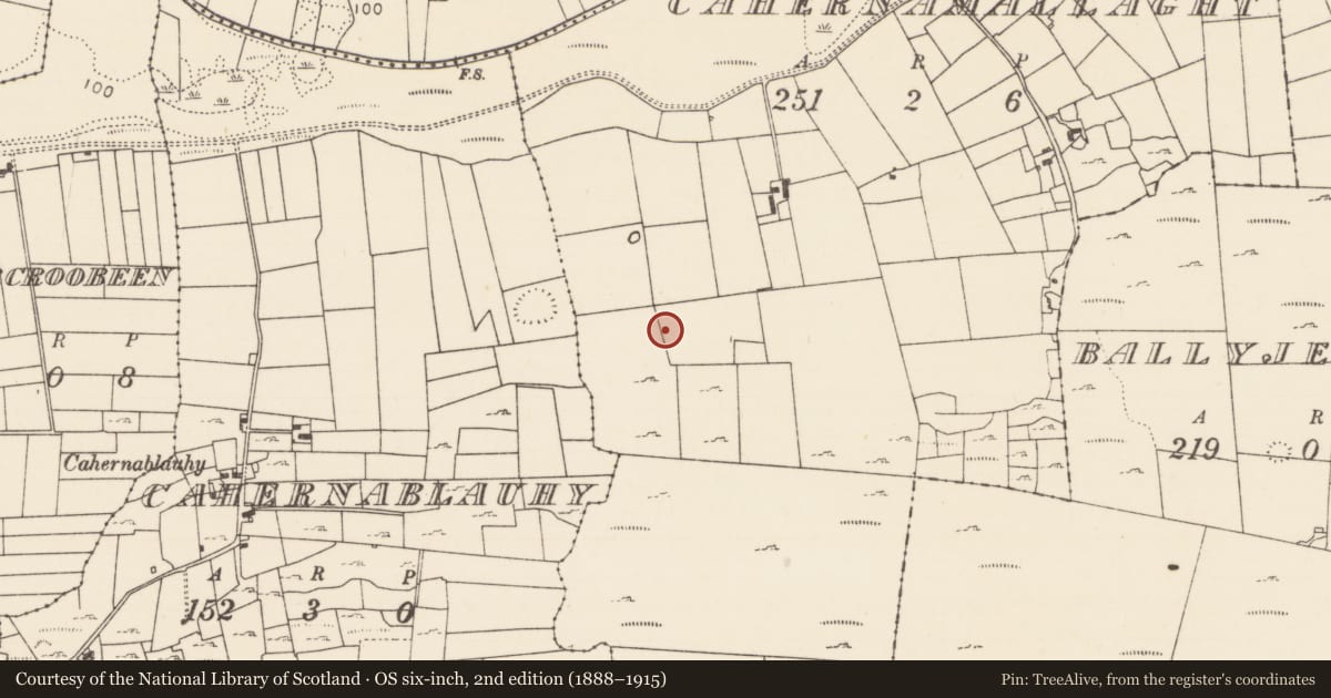 Ordnance Survey six-inch map, 2nd edition (1888–1915) covering the location of Mound, Cahernamallaght, County Mayo, with a pin at the register's coordinates