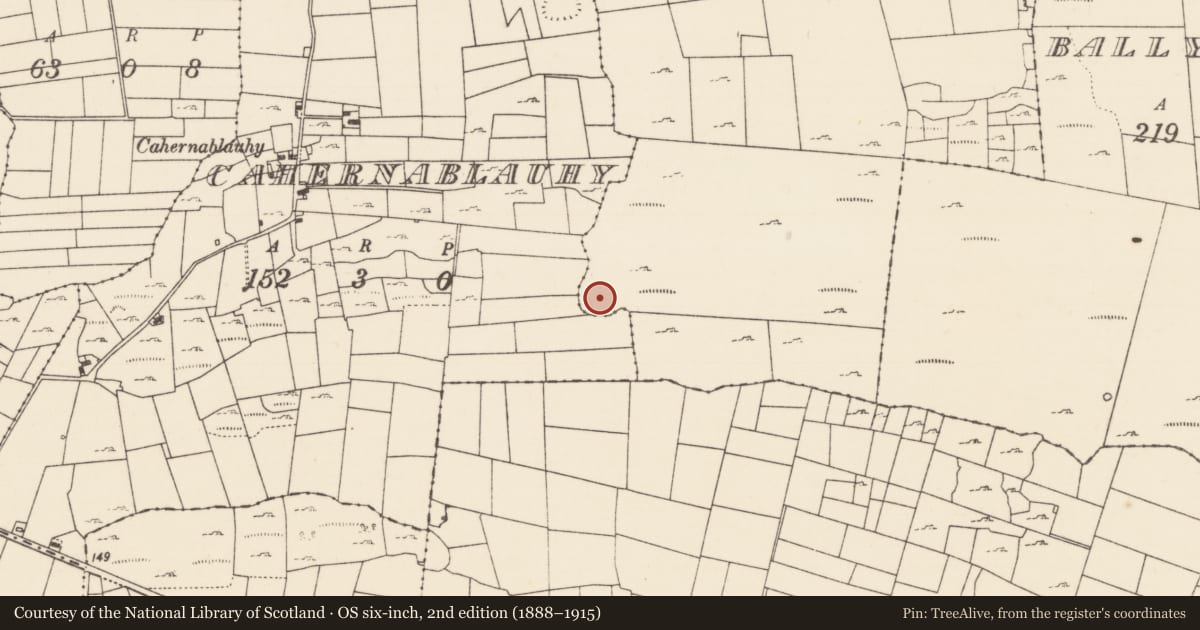 Ordnance Survey six-inch map, 2nd edition (1888–1915) covering the location of Enclosure, Cahernamallaght, County Mayo, with a pin at the register's coordinates
