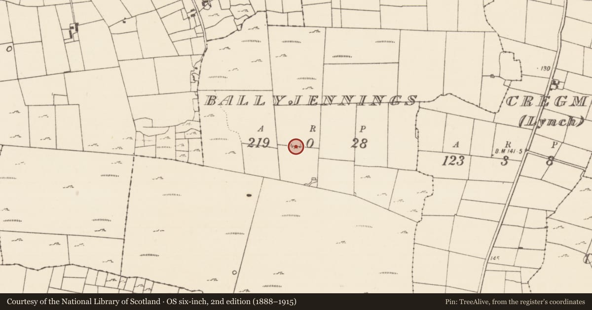 Ordnance Survey six-inch map, 2nd edition (1888–1915) covering the location of Hut site, Ballyjennings, County Mayo, with a pin at the register's coordinates