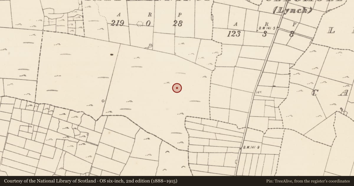 Ordnance Survey six-inch map, 2nd edition (1888–1915) covering the location of Hut site, Ballyjennings, County Mayo, with a pin at the register's coordinates