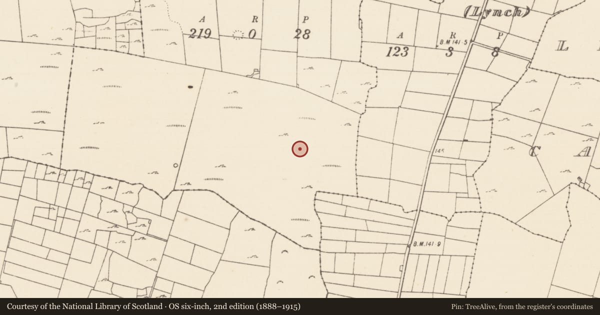 Ordnance Survey six-inch map, 2nd edition (1888–1915) covering the location of Hut site, Ballyjennings, County Mayo, with a pin at the register's coordinates