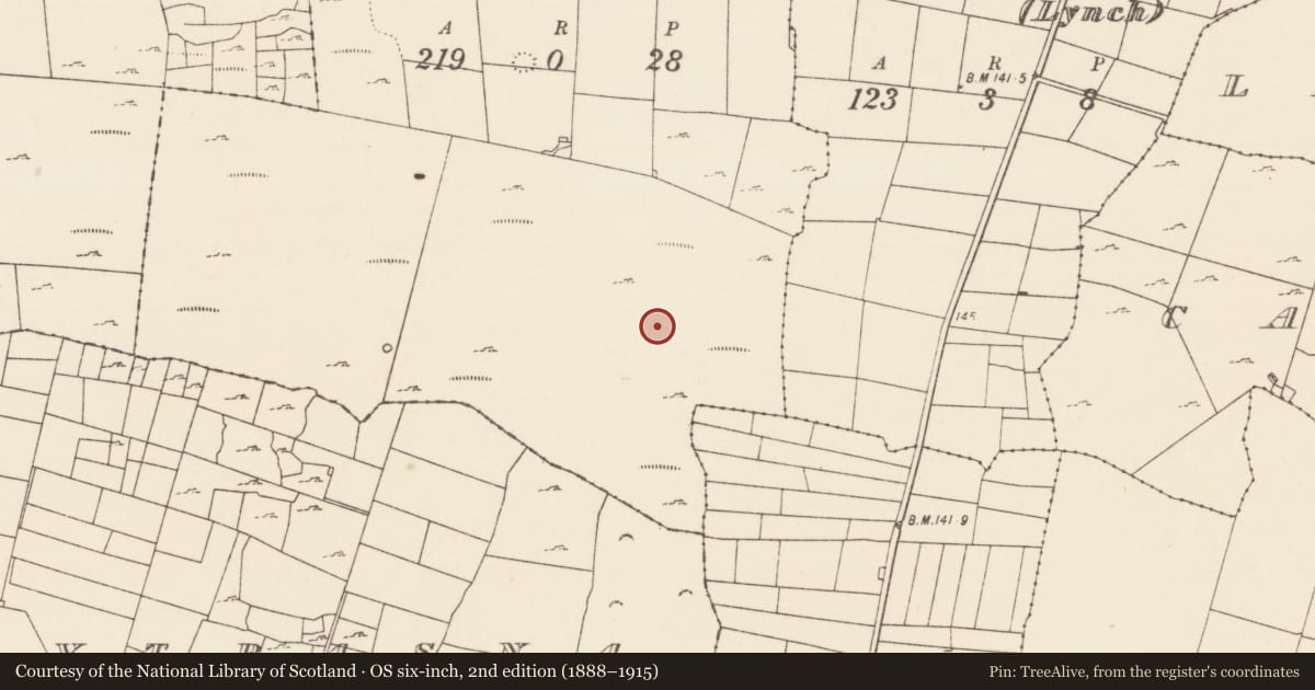 Ordnance Survey six-inch map, 2nd edition (1888–1915) covering the location of Hut site, Ballyjennings, County Mayo, with a pin at the register's coordinates