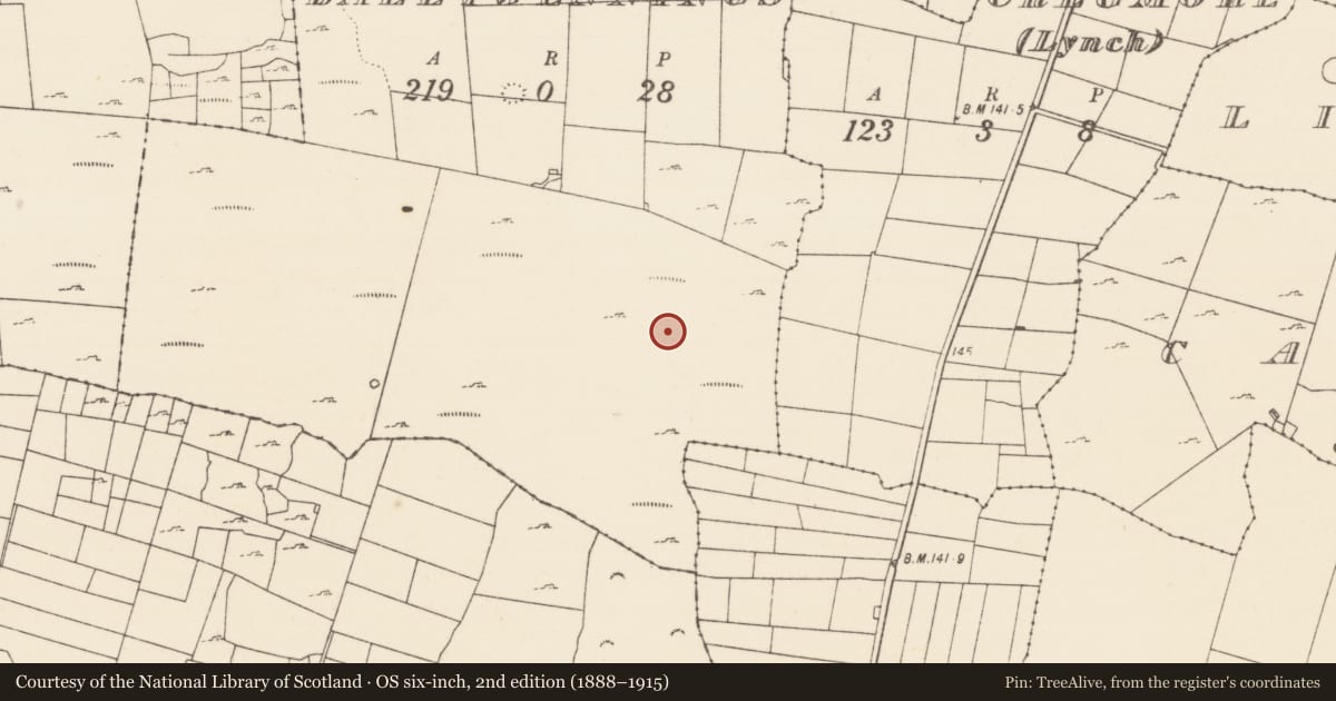 Ordnance Survey six-inch map, 2nd edition (1888–1915) covering the location of Hut site, Ballyjennings, County Mayo, with a pin at the register's coordinates
