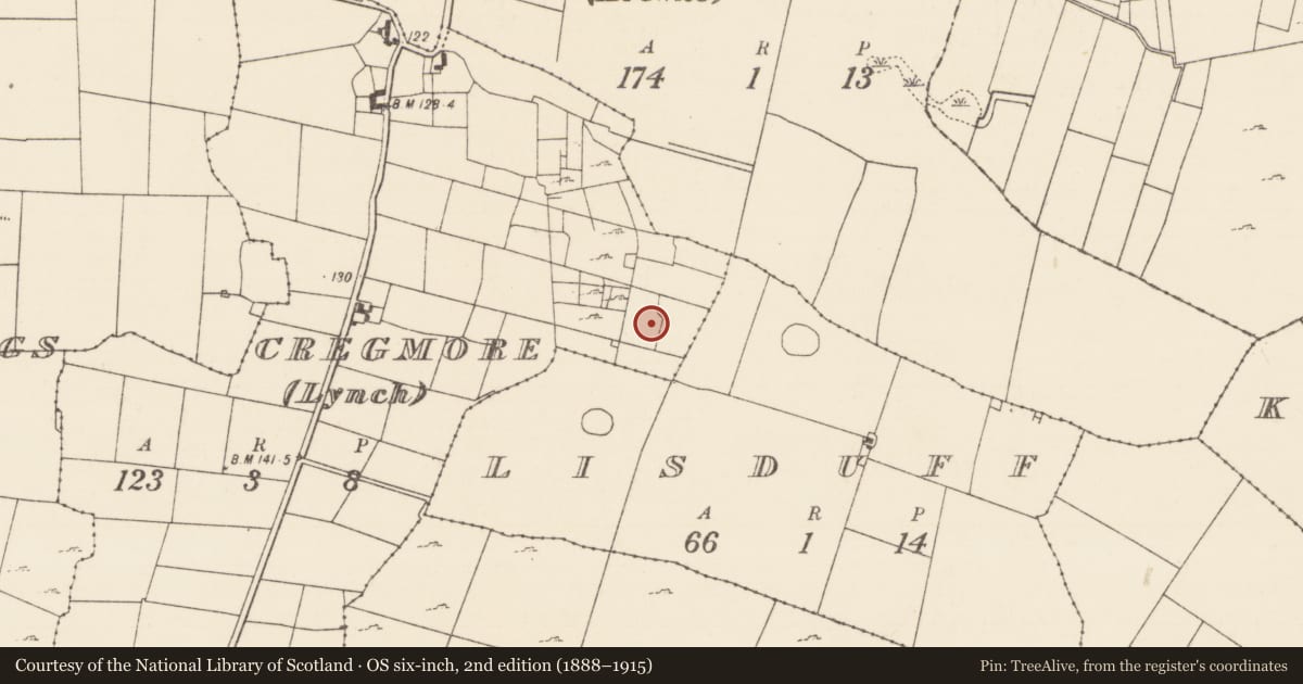 Ordnance Survey six-inch map, 2nd edition (1888–1915) covering the location of Enclosure, Cregmore (Lynch), County Mayo, with a pin at the register's coordinates