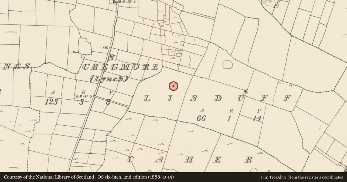 Ordnance Survey six-inch map, 2nd edition (1888–1915) covering the location of Ringfort - rath, Lisduff, County Mayo, with a pin at the register's coordinates
