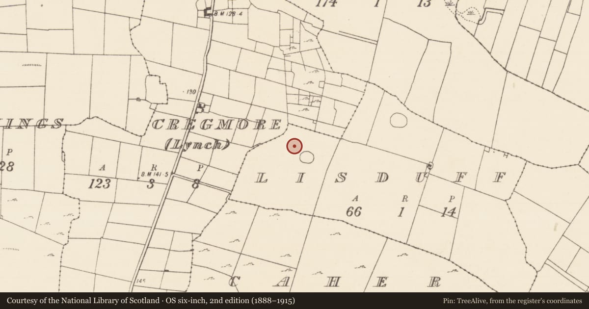 Ordnance Survey six-inch map, 2nd edition (1888–1915) covering the location of Field system, Lisduff, County Mayo, with a pin at the register's coordinates