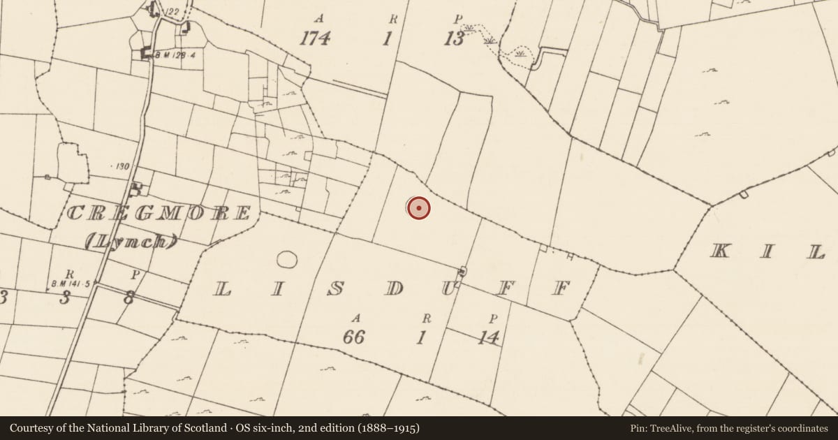 Ordnance Survey six-inch map, 2nd edition (1888–1915) covering the location of Ringfort - rath, Lisduff, County Mayo, with a pin at the register's coordinates