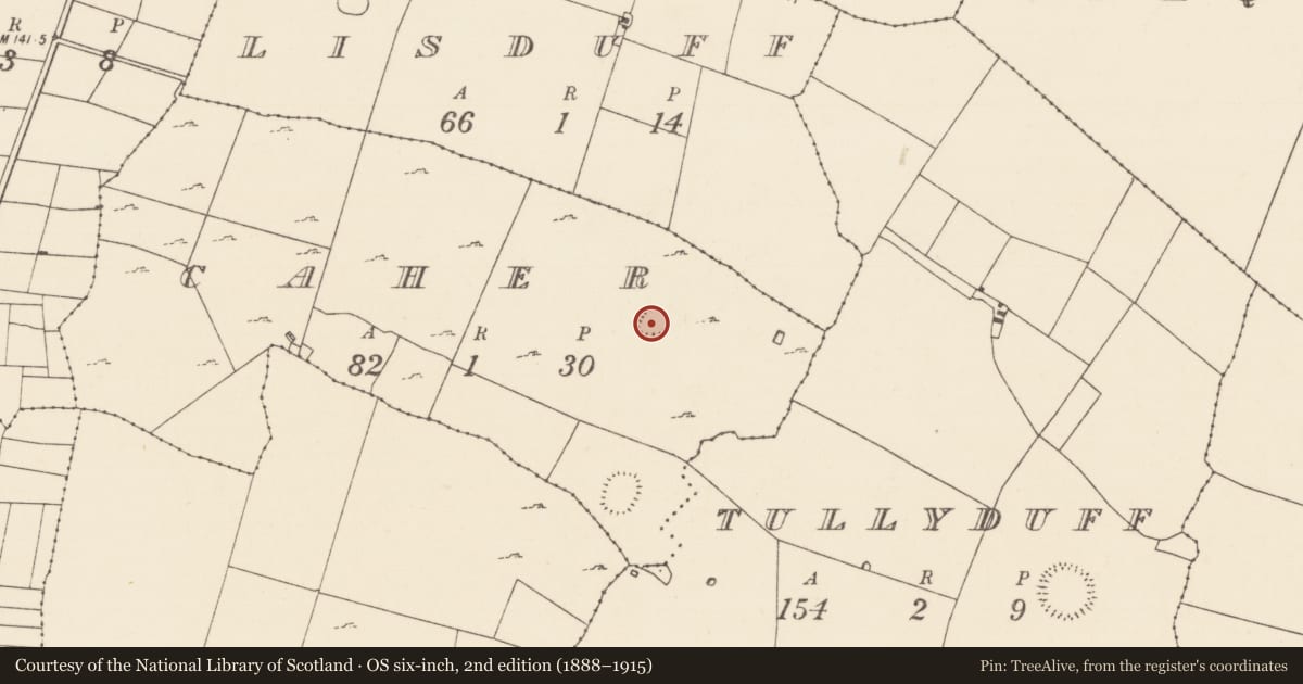 Ordnance Survey six-inch map, 2nd edition (1888–1915) covering the location of Ringfort - rath, Caher (Kilmaine By., Kilmainemore Par.), County Mayo, with a pin at the register's coordinates