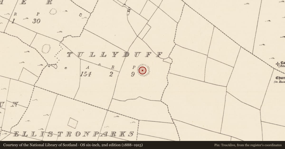 Ordnance Survey six-inch map, 2nd edition (1888–1915) covering the location of Ringfort - cashel, Tullyduff, County Mayo, with a pin at the register's coordinates