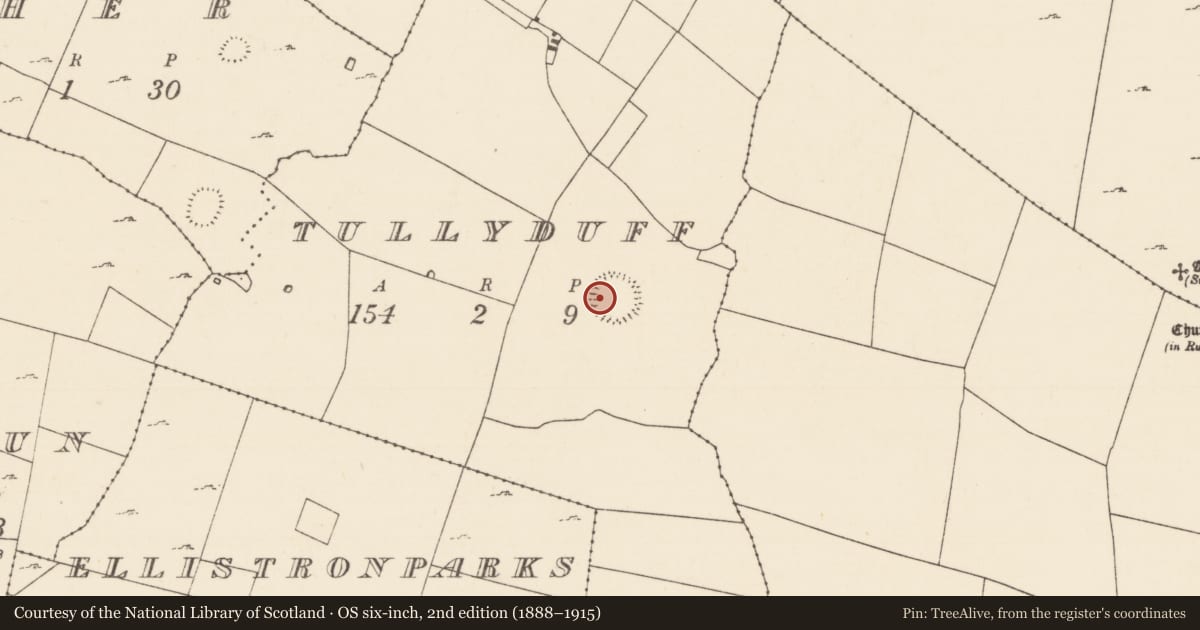 Ordnance Survey six-inch map, 2nd edition (1888–1915) covering the location of Souterrain, Tullyduff, County Mayo, with a pin at the register's coordinates
