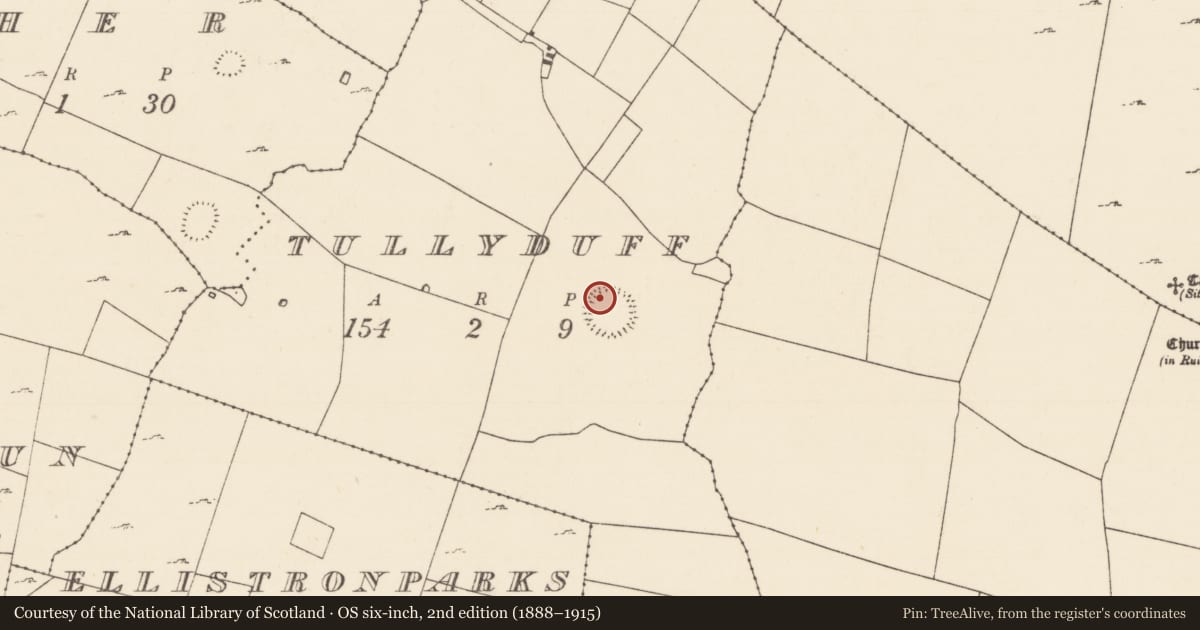 Ordnance Survey six-inch map, 2nd edition (1888–1915) covering the location of Hut site, Tullyduff, County Mayo, with a pin at the register's coordinates