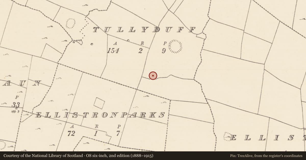 Ordnance Survey six-inch map, 2nd edition (1888–1915) covering the location of Enclosure, Tullyduff, County Mayo, with a pin at the register's coordinates